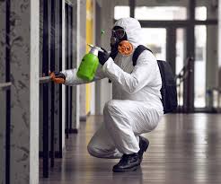 Best Commercial Mold Inspection  in USA